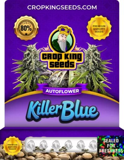 Killer Blue Autoflower