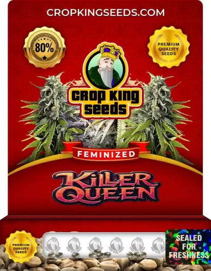 killer-queen-image
