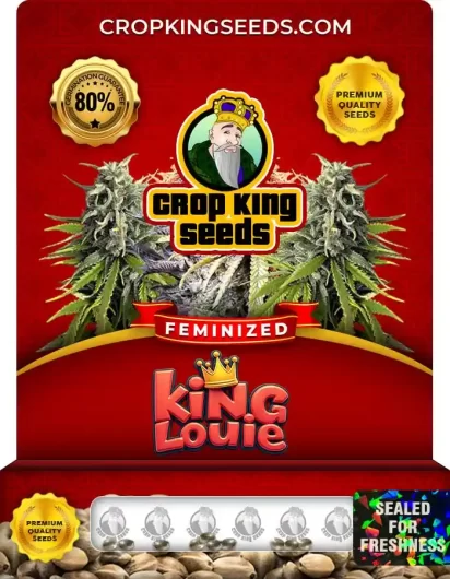 king-louie-image