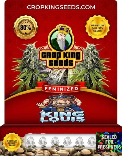 king-louis-image