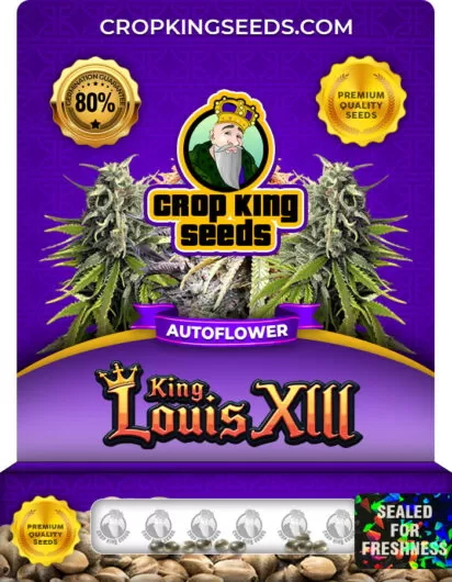 king-louis-xiii-autoflower-image