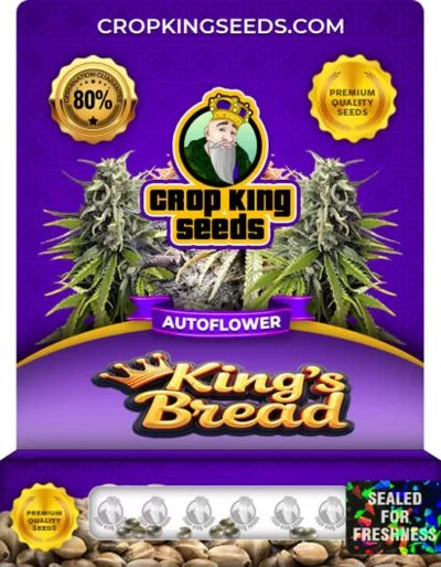 King’s Bread Autoflower