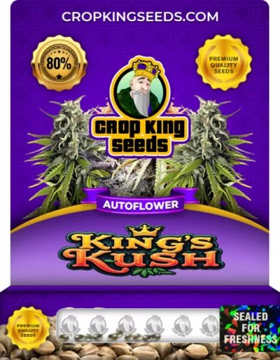 King’s Kush Autoflower