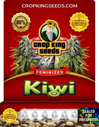 kiwi-image