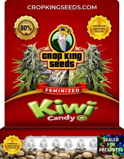 Kiwi Candy