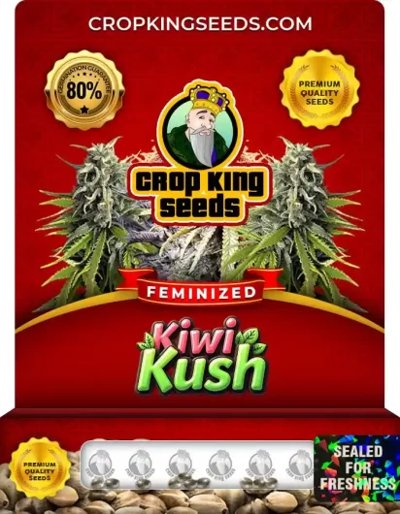 Kiwi Kush