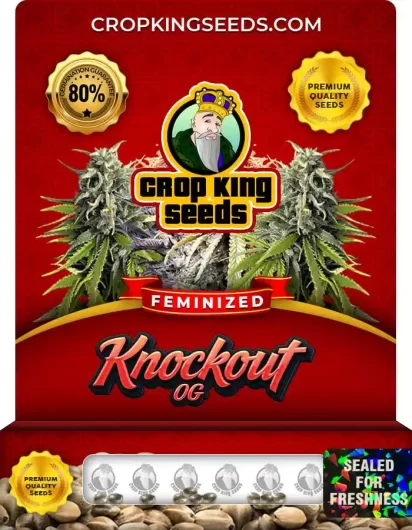 knockout-og-image