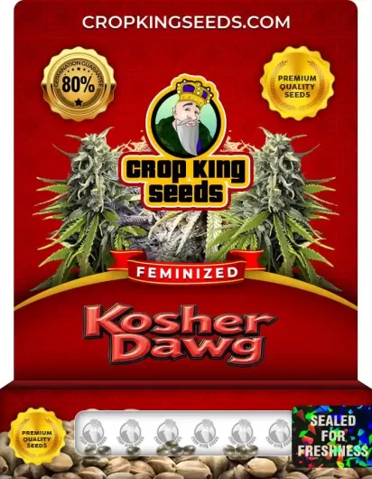 kosher-dawg-image