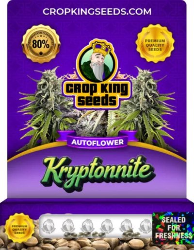 Kryptonite Autoflower