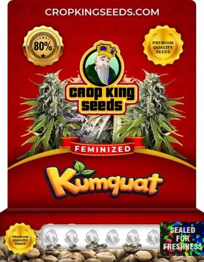 Kumquat
