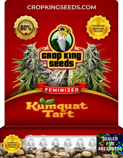kumquat-tart-image