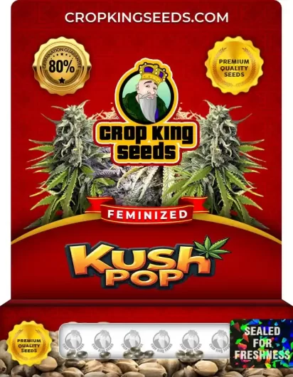 kush-pop-image