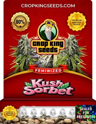 Kush Sorbet