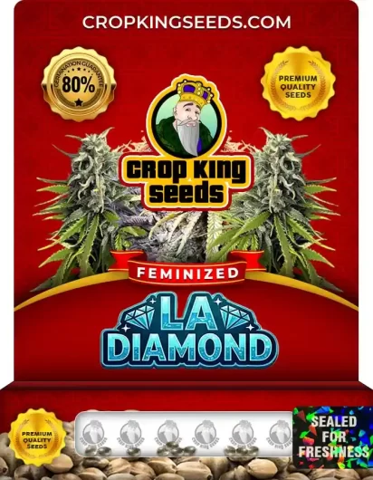 la-diamond-image