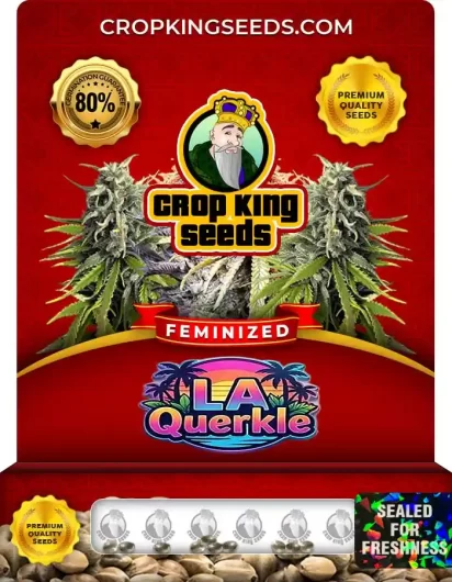 la-querkle-image