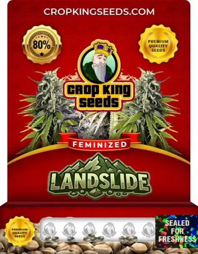 Landslide