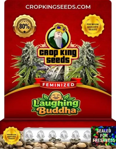 Laughing Buddha