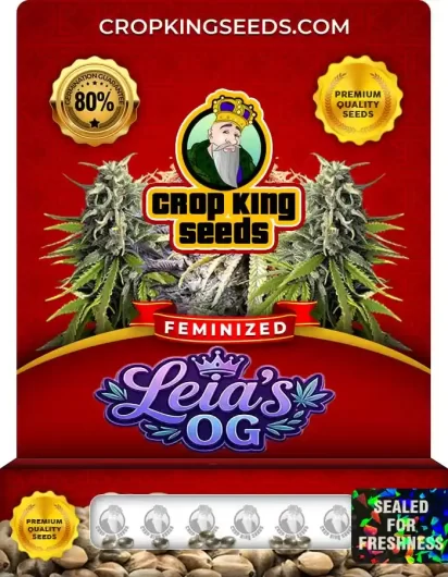 leia’s-og-image