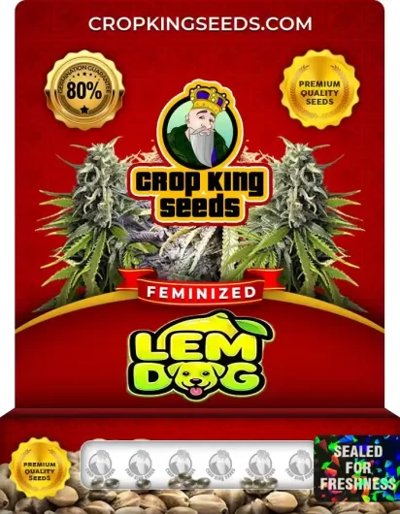 Lem Dog