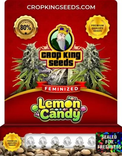 Lemon Candy
