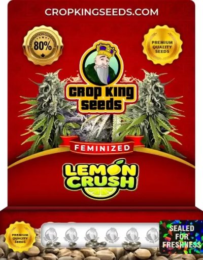 Lemon Crush