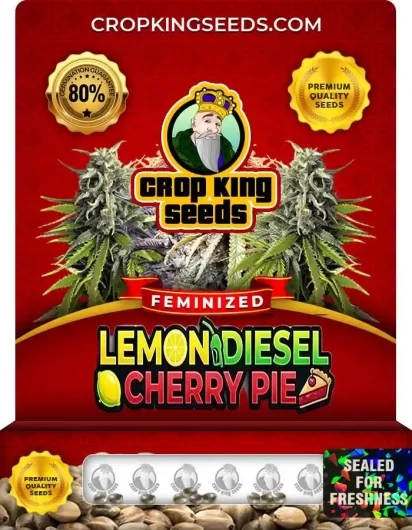 lemon-diesel-cherry-pie-image