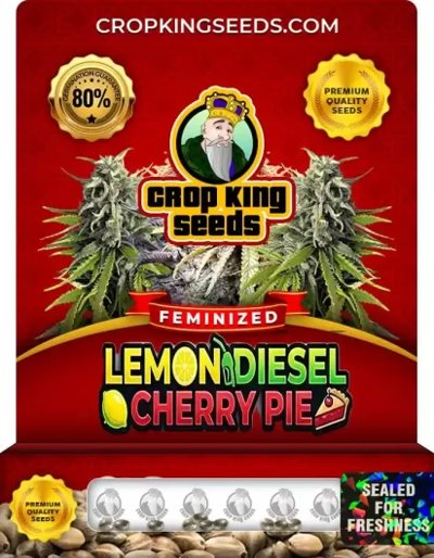 Lemon Diesel Cherry Pie