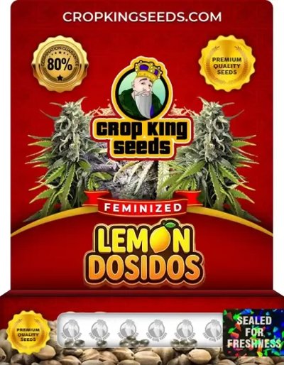 Lemon Dosidos