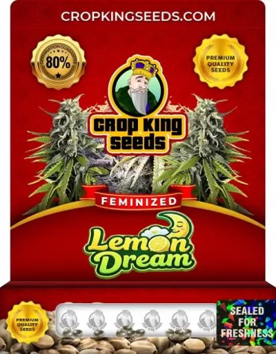 Lemon Dream