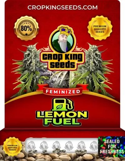 Lemon Fuel