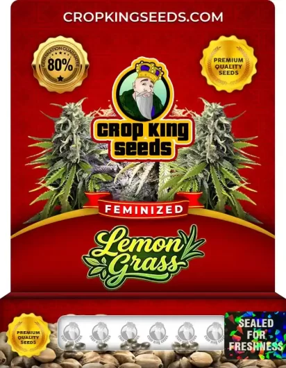 lemon-grass-image