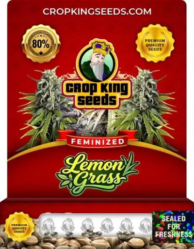 Lemon Grass