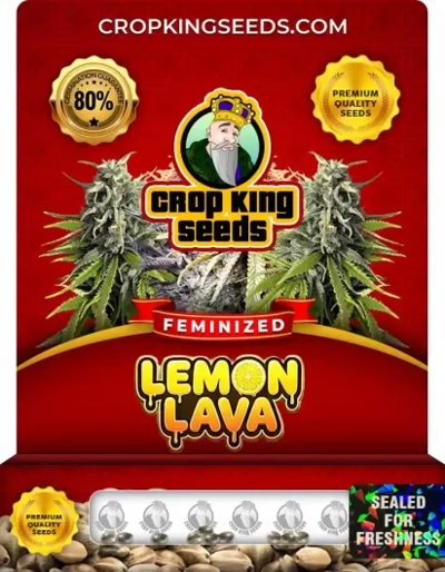 Lemon Lava