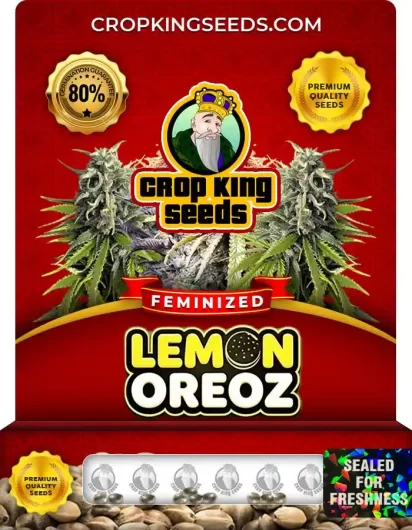 lemon-oreoz-image