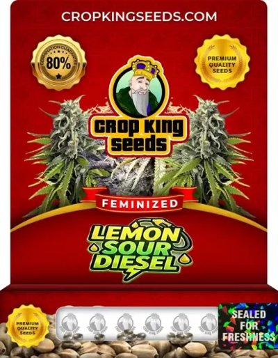 Lemon Sour Diesel