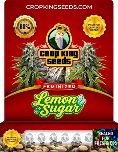 Lemon Sugar