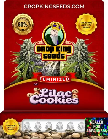lilac-cookies-image