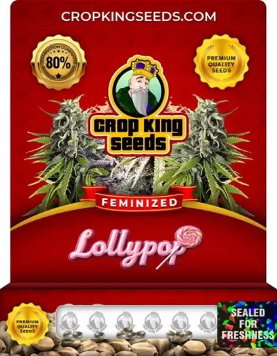 Lollypop