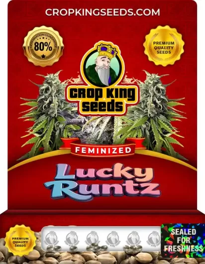 lucky-runtz-image