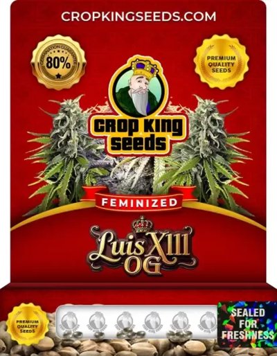 Luis XIII OG