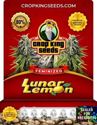 lunar-lemon-image