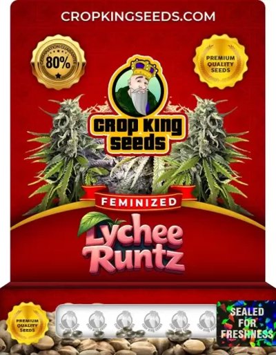 Lychee Runtz
