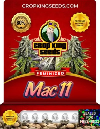 Mac 11