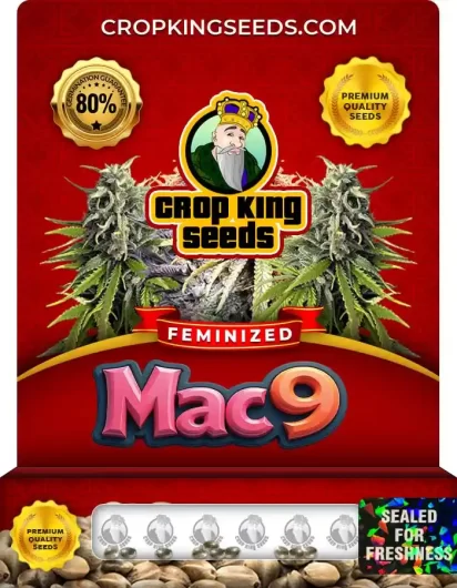 mac-9-image