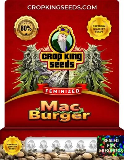 Mac Burger