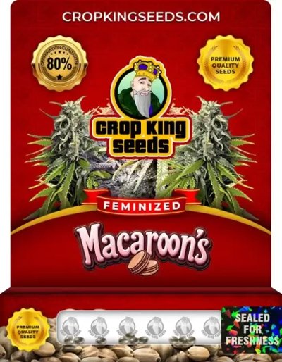 Macaroons