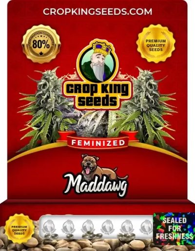 Maddawg