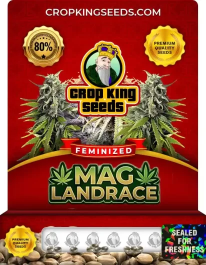 mag-landrace-image