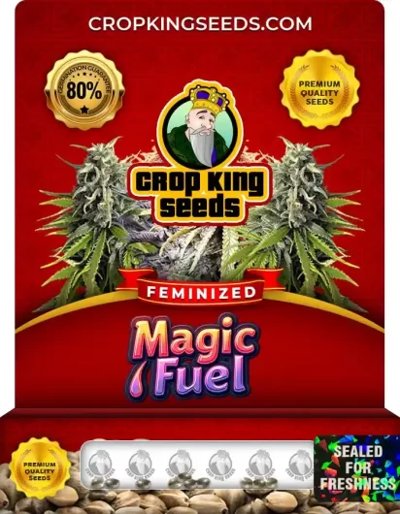 Magic Fuel