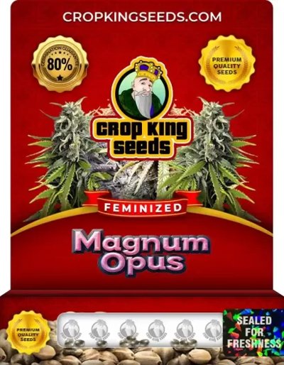 Magnum Opus